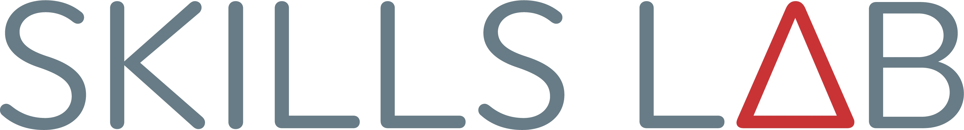 Skills Lab